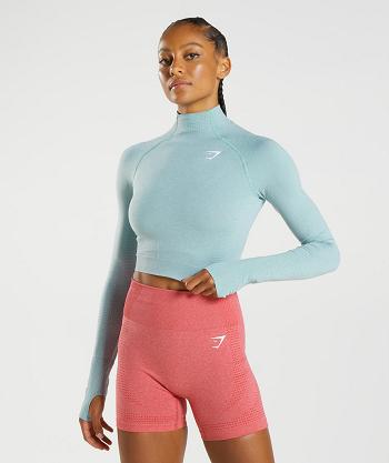 Dámské Oříznuté Topy Gymshark Vital Seamless 2.0 High Neck Midi Blankyt | CZ 3650BEX